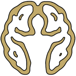 safe-her-brain-2-small